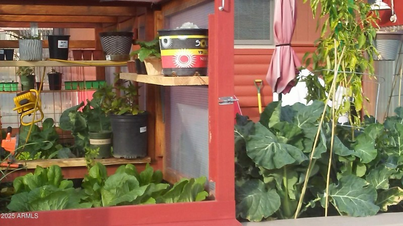 20181211_092828_Burst01