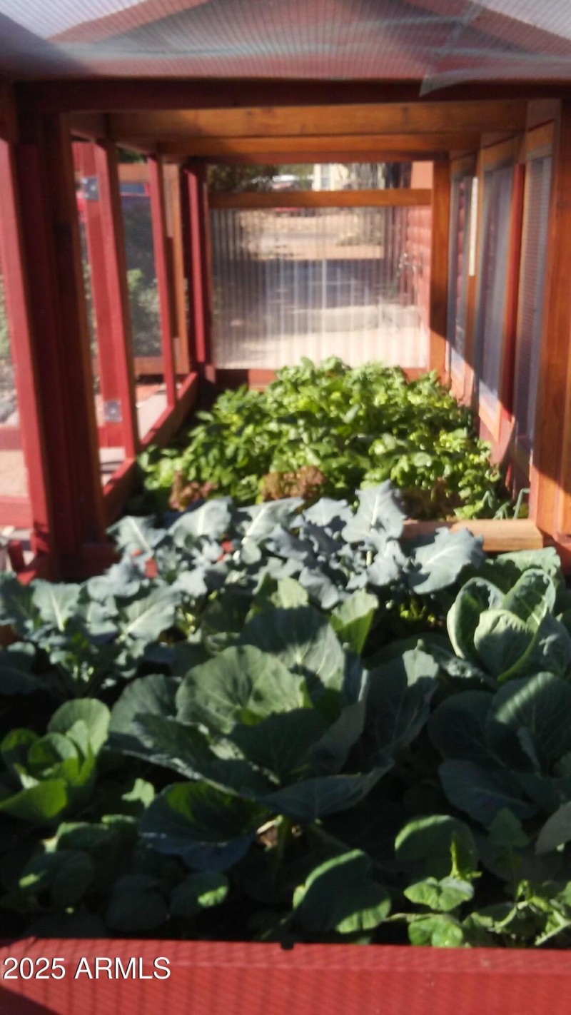 20171126_103142_Burst01 (1)