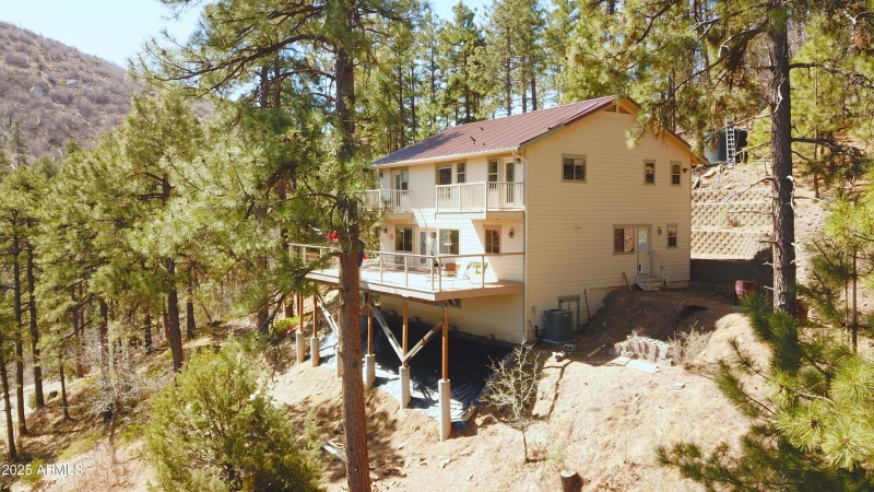 Surrounded by tall pines