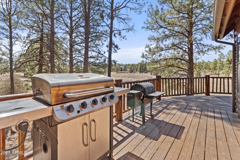 2802 Zane Grey, Overgaard (49)