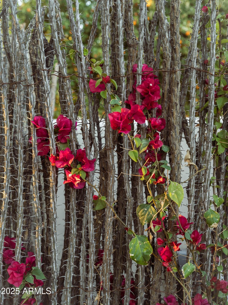 JR04 TGR - Arroyo Verde 3328 WEB