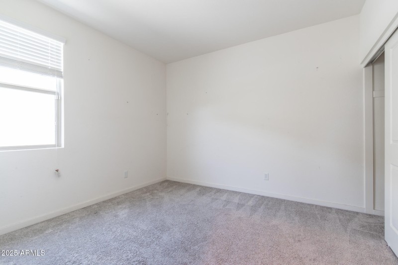 IMG_6003-Enhanced-NR