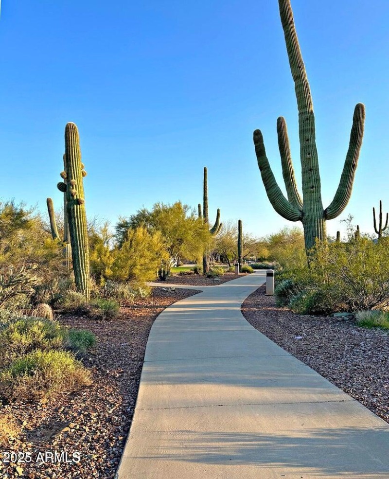 20250123150403237891000000-o