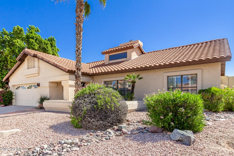 right view front saddleback