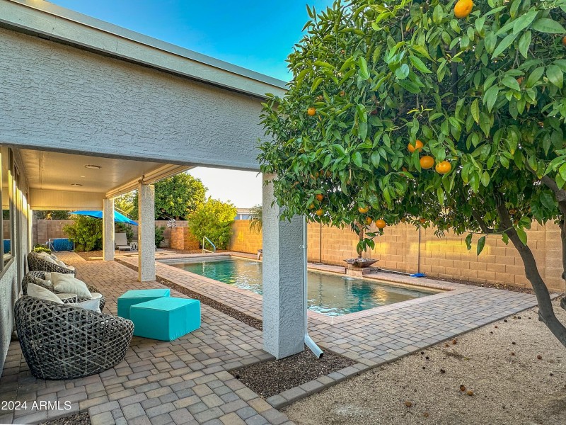 Photo Nov 16 2022, 4 40 02 PM