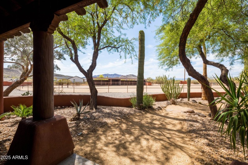 Premier Horse Amenities