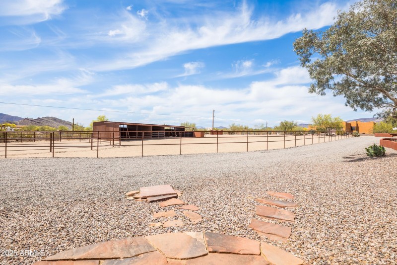 Spacious Horse Setup