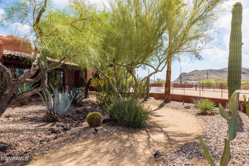 Gorgeous Desert Landscaping