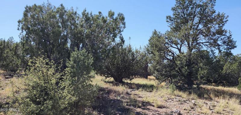 8531 N High Mountain RD