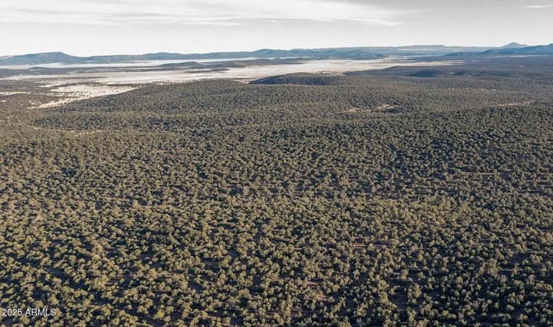 8641 N High Mountain RD