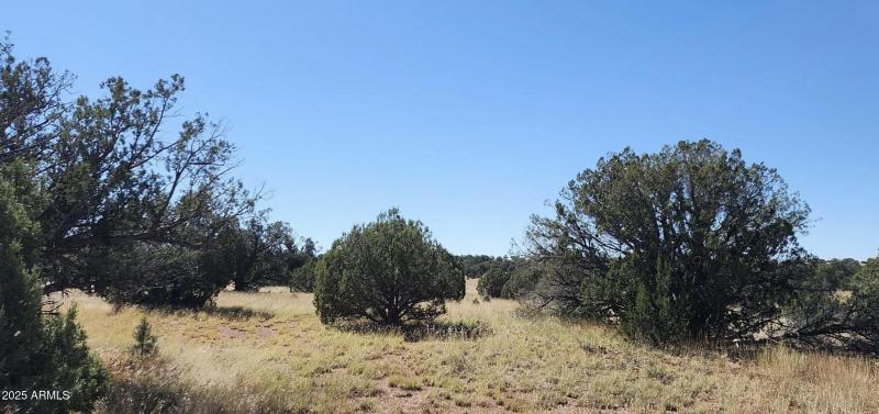 8531 N High Mountain RD