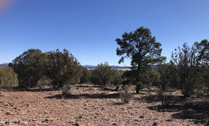 8711 N High Mountain RD