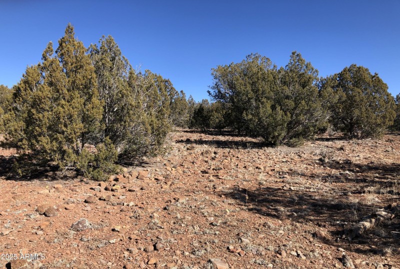 8711 N High Mountain RD