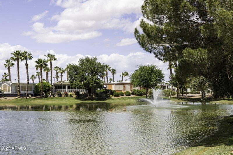 Palm Creek Community 10