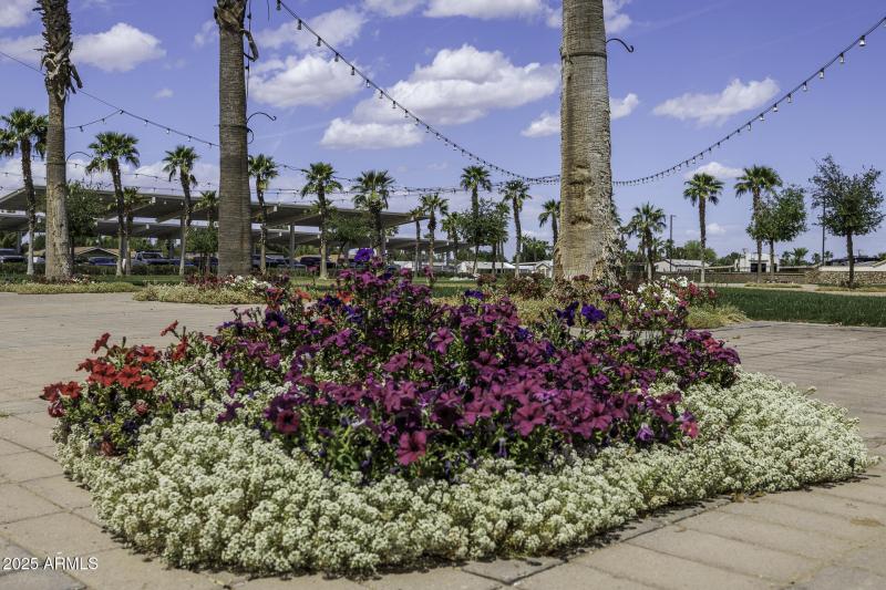 Palm Creek Community 3