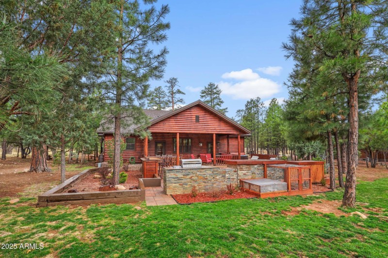 Back view of BBQ area