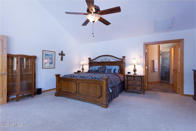 Primary Vaulted Ceiling