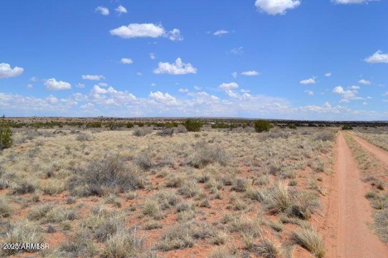 20250502203148655806000000-o