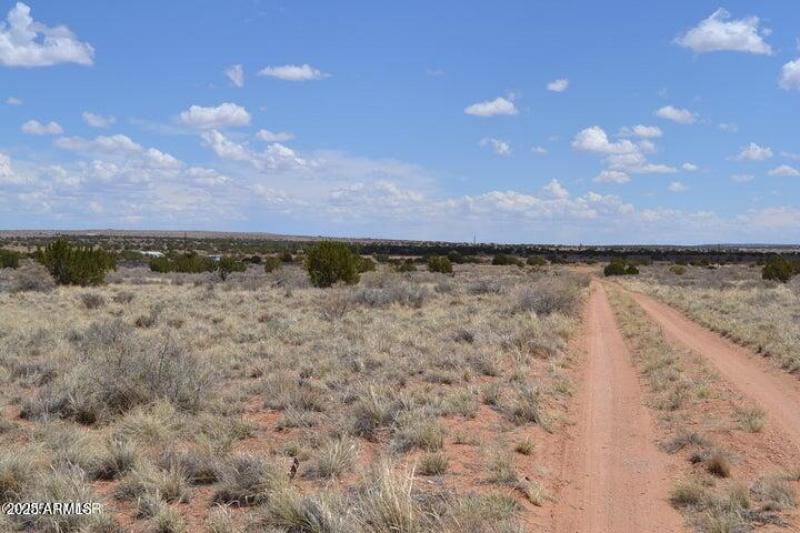 20250502203151520881000000-o