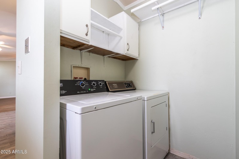 IMG_6155-Enhanced-NR