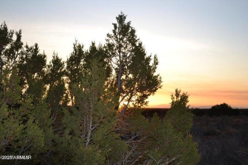 20250502203938671665000000-o