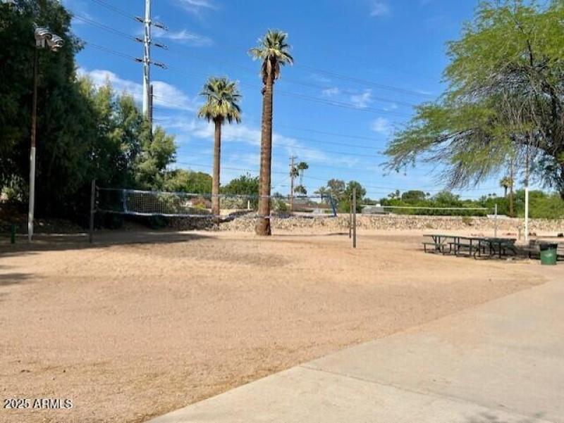 Volleyball Courts