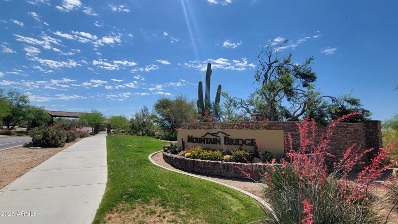 Award Winning Mountain Bridge