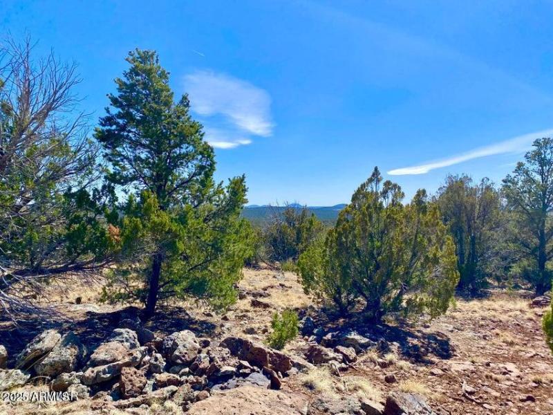 20250503072505445794000000-o