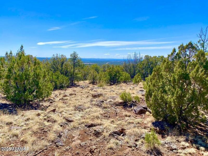 20250503072505790252000000-o