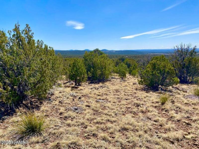 20250503072506483310000000-o