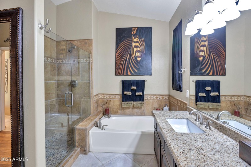 Master tub and separate shower