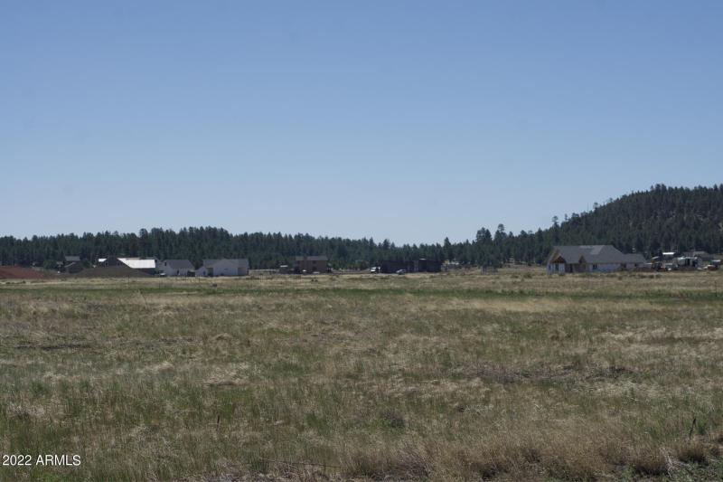 Screen Shot 2022-06-15 at 4.27.52 PM