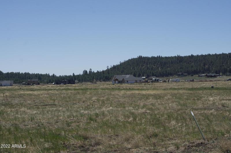 Screen Shot 2022-06-15 at 4.28.14 PM