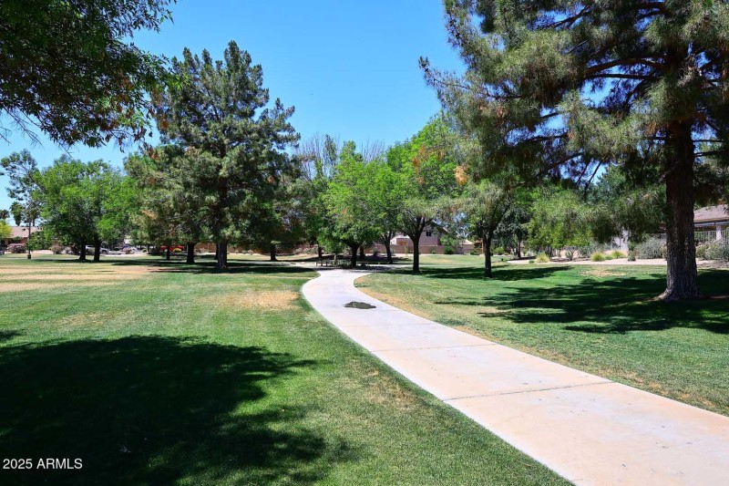 Community Park-Walking Paths
