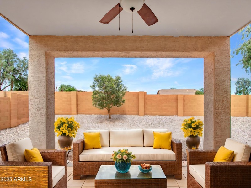 10-Backyard-(1) - Outdoor - Standard - 5