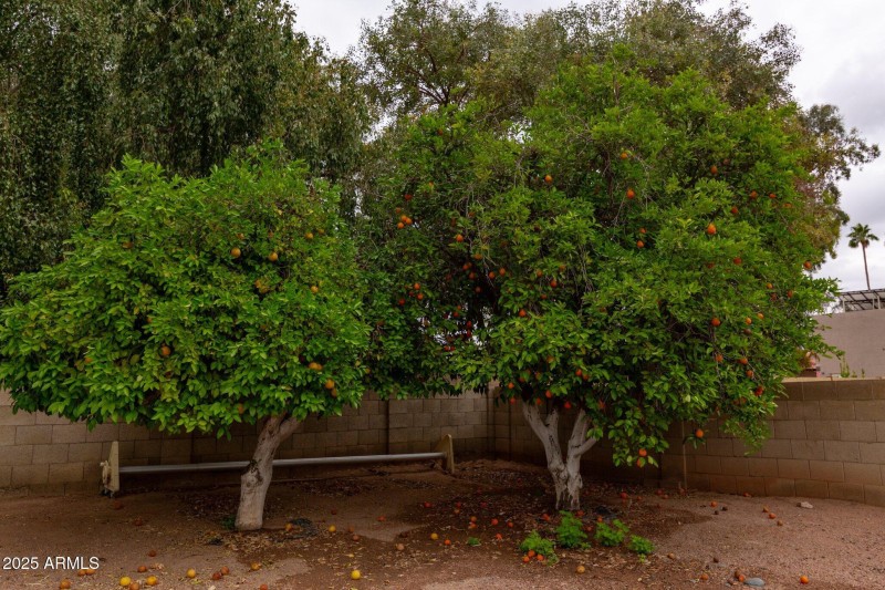 046-4107EastFairviewCircle-Mesa-AZ-85206