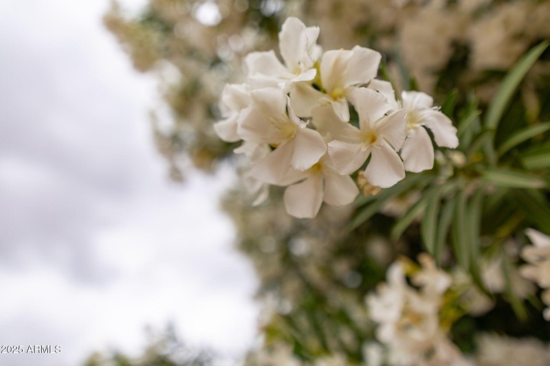 055-4107EastFairviewCircle-Mesa-AZ-85206