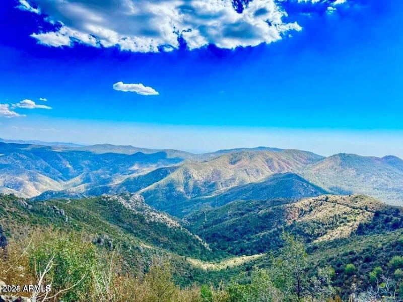 20241130095124357683000000-o (1)