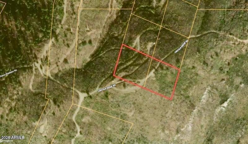 20241130095224784041000000-o (1)