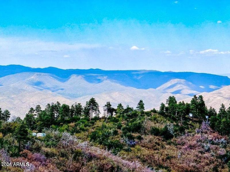 20241130095532021095000000-o (1)