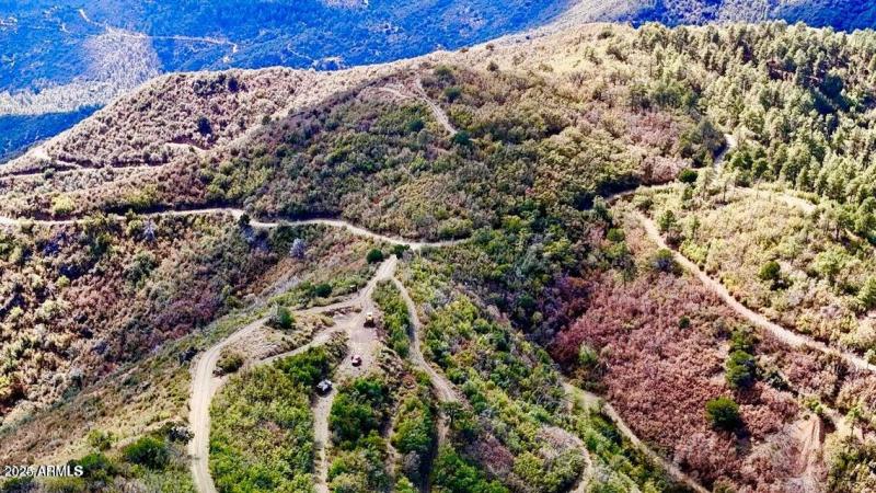 20241130100608352702000000-o (1)