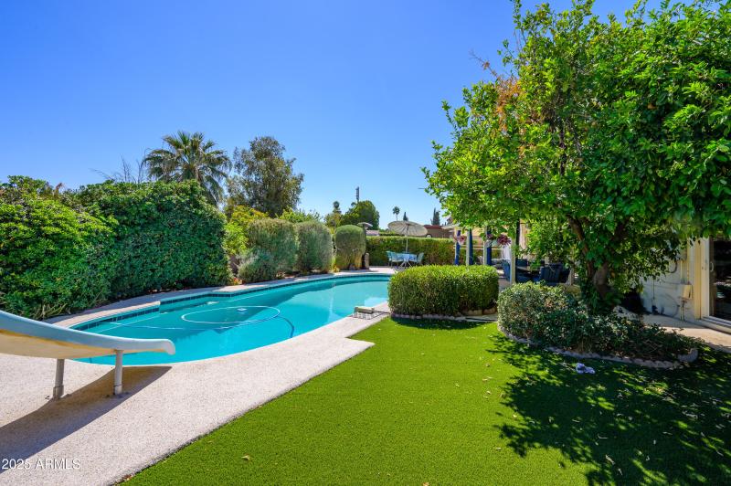 REAR YARD ARTIFICAL TURF