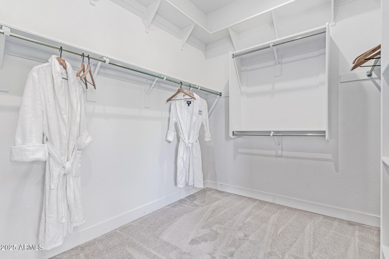 Primary Bedroom View D