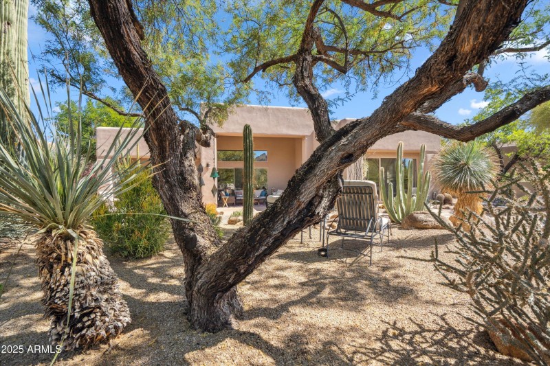 34-Desert Canopy Retreat