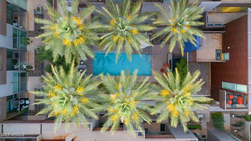 7-web-or-mls-DJI_20250509185355_0545_D