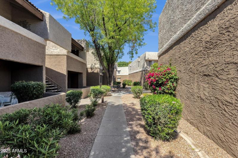 Community Common Areas