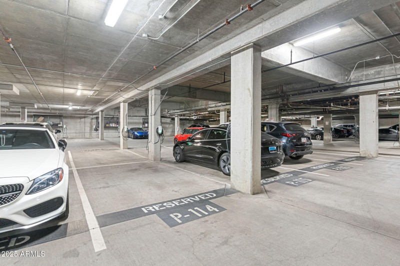 52-web-or-mls-DSC09990-1