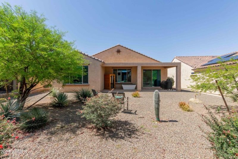 Backyard Desert Landscape