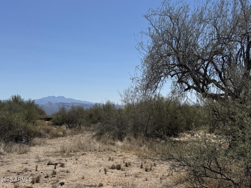 Horse Property Potential