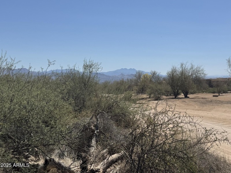 Build Your Dream Home